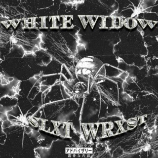 WHITE WIDOW lyrics | Boomplay Music