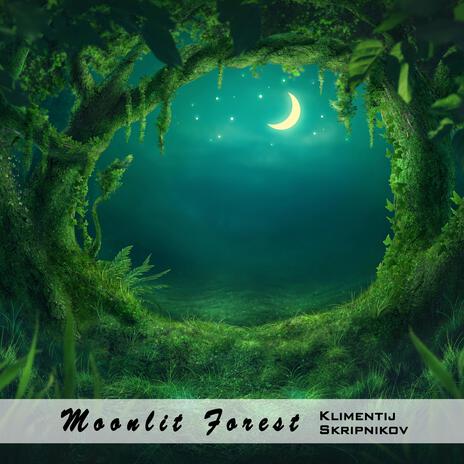 Moonlit Forest | Boomplay Music