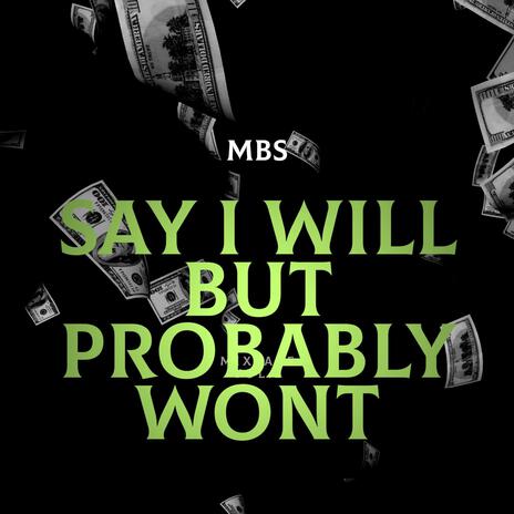 Say I Will But Probably Won't | Boomplay Music