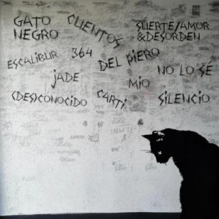 Gato Negro