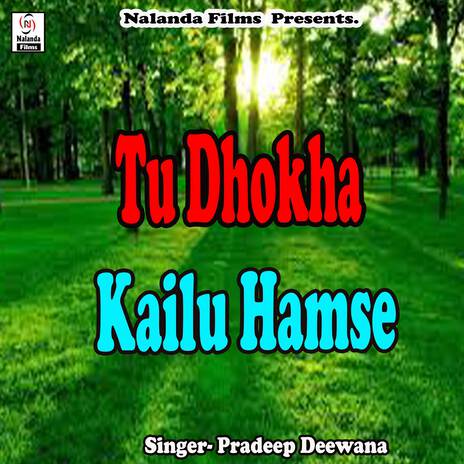 Tu Dhokha Kailu Hamse | Boomplay Music