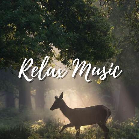 Soothing Music with Nature Sound, Calm The Mind, Sleep Tight | Boomplay Music