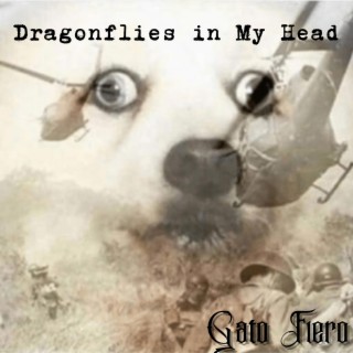 Dragonflies in My Head