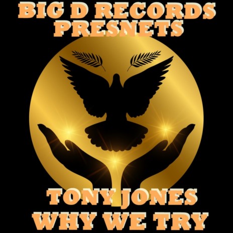 Why We Try (Tj's Spirit Revenge Mix) | Boomplay Music