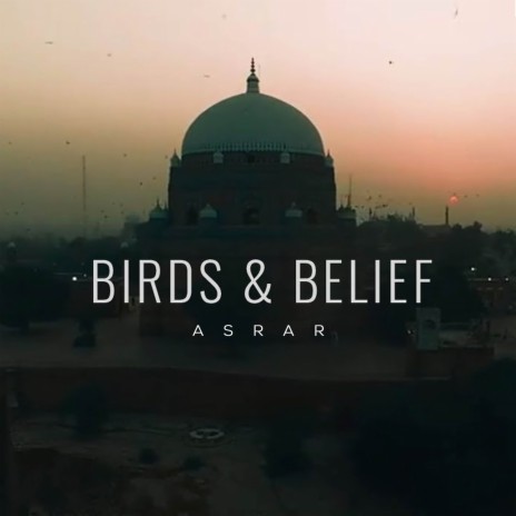 Birds & Belief