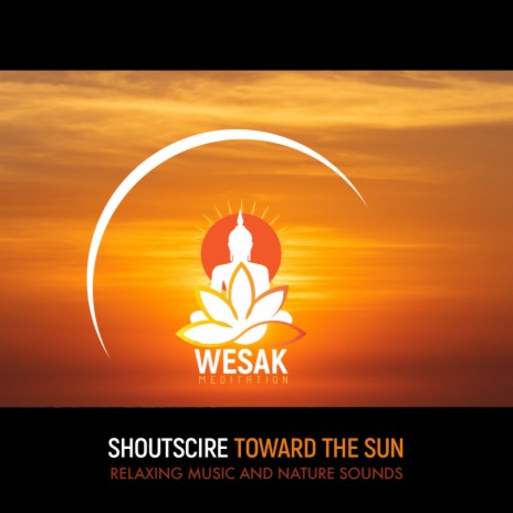 Toward the Sun (Original Mix) | Boomplay Music