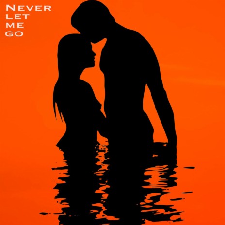 Never let me go ft. Anna | Boomplay Music