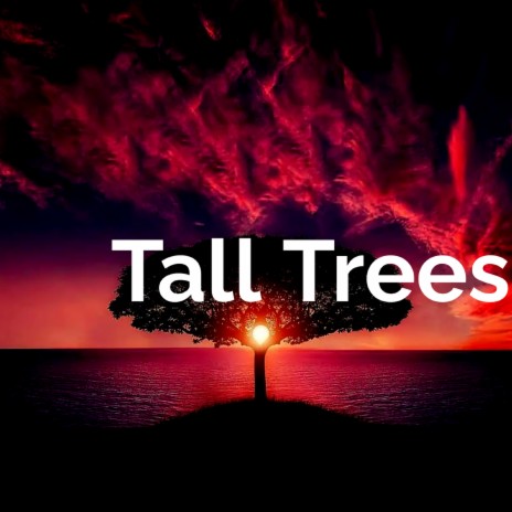 Tall Trees