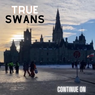 True Swans