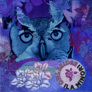 Owl Bridge lyrics | Boomplay Music