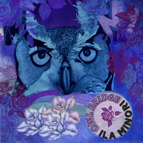 Owl Bridge | Boomplay Music