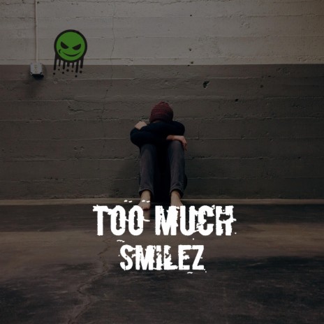 Too Much | Boomplay Music