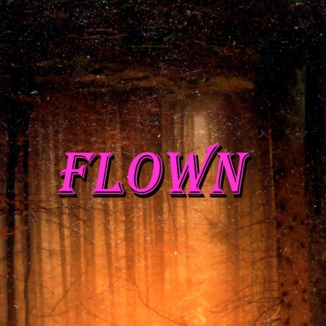 Flown | Boomplay Music