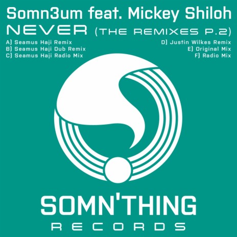 Never (Radio Edit) ft. Mickey Shiloh | Boomplay Music