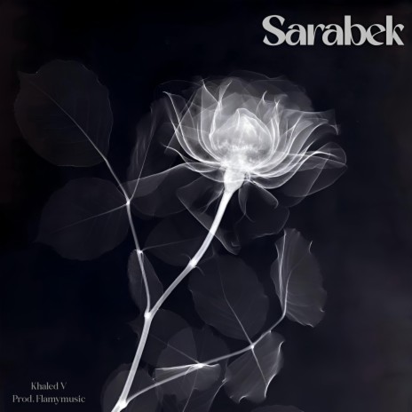 Sarabek | Boomplay Music