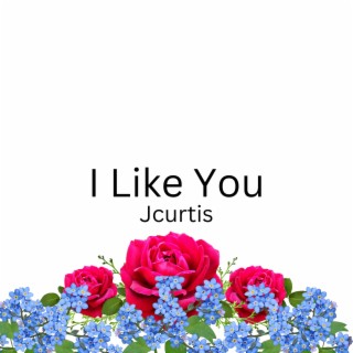 I Like You (Prod. FABRIZIO Remix)