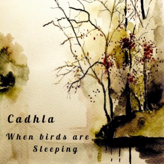 When birds are sleeping