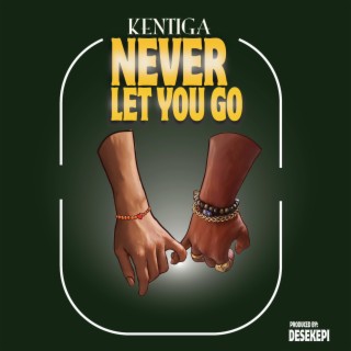 Never Let You Go lyrics | Boomplay Music