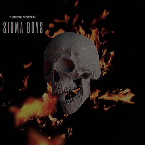 Sigma Boys | Boomplay Music