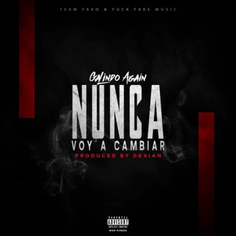 Nunca Voy A Cambiar | Boomplay Music