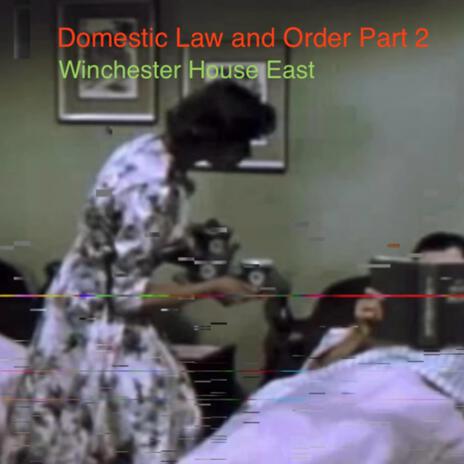 Domestic Law and Order Part Two | Boomplay Music