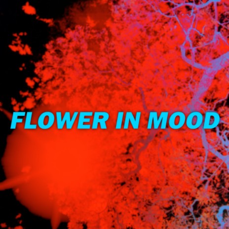 Flower in Mood