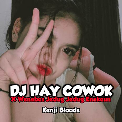 Dj Hay Cowok Jedag Jedug Enakuen (Ins) | Boomplay Music