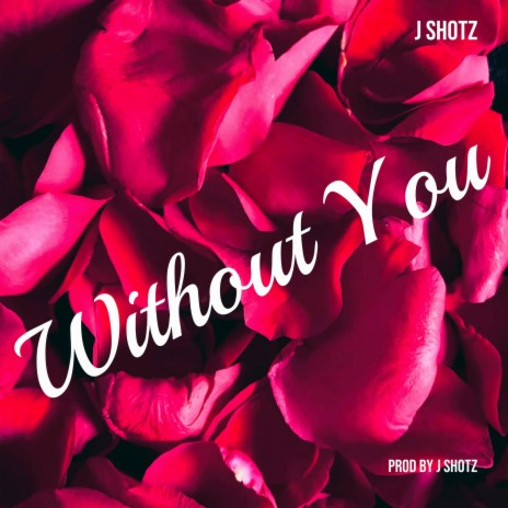 Without You (Special Edition) | Boomplay Music