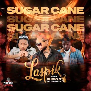 Sugar cane