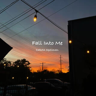 Fall Into Me lyrics | Boomplay Music