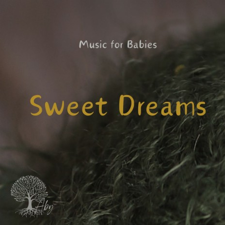 Sweet Dreams | Boomplay Music