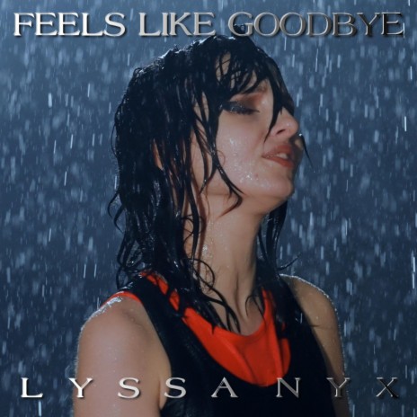 Feels Like Goodbye | Boomplay Music