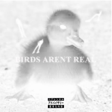 BIRDS ARENT REAL ft. AyTee & It's Finn Again | Boomplay Music