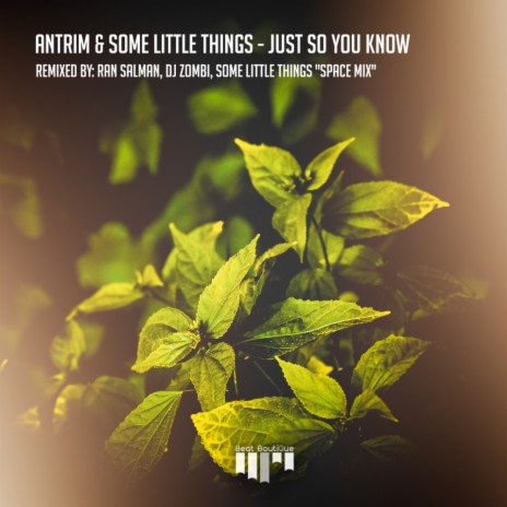 Just So You Know (Some Little Things Space Mix) ft. Some Little Things | Boomplay Music