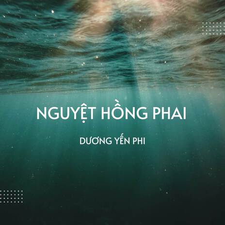 Nguyệt Hồng Phai (Remix) | Boomplay Music