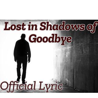 Lost in Shadows of Goodbye