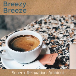 Superb Relaxation Ambient