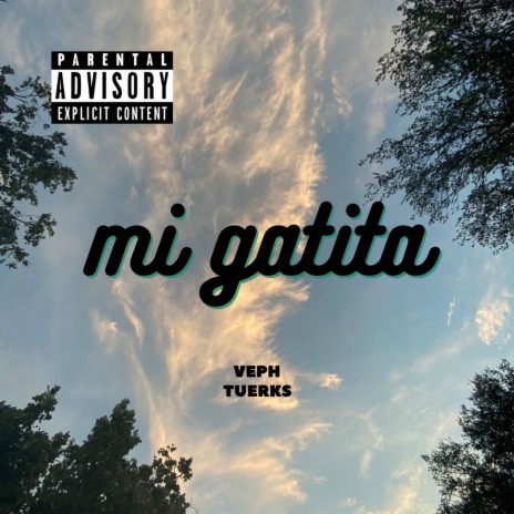 Mi Gatita ft. TUERKS
