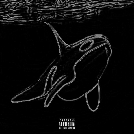 ORCA | Boomplay Music