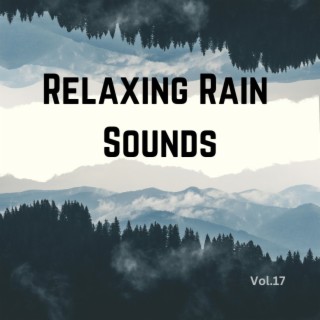 Relaxing Rain Sounds (Vol.17)