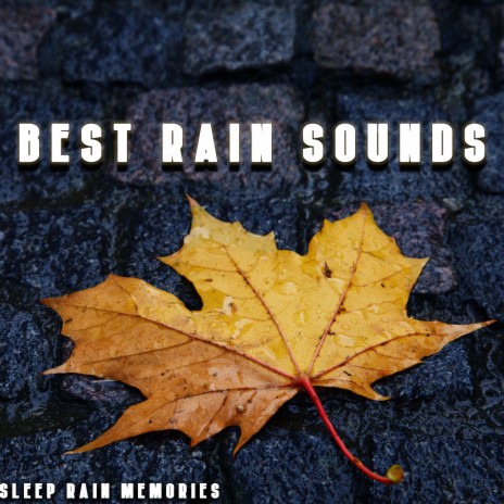 Sounds of Heavy Rain | Boomplay Music