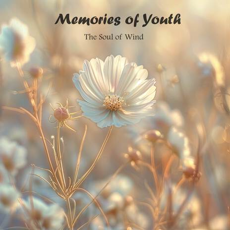 Memories of Youth | Boomplay Music