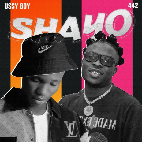 SHAYO Remix | Boomplay Music