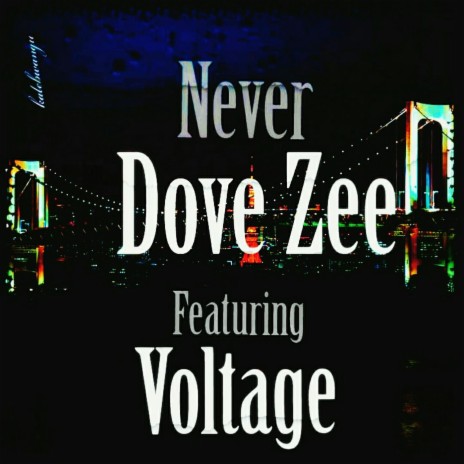 Never (feat. Voltage) | Boomplay Music