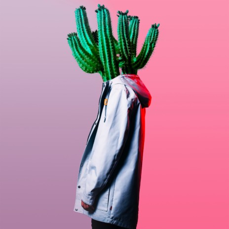 Cactus Dream | Boomplay Music