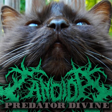 Predator Divine