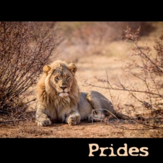 Prides