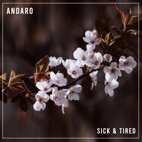 Sick & Tired (Extended Mix) | Boomplay Music