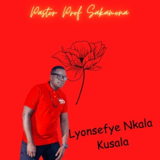 Lyonsefye Nkala Kusala (feat. Various)