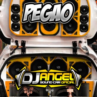 Pegao Car Audio